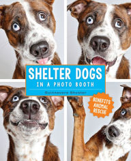 Title: Shelter Dogs in a Photo Booth, Author: Guinnevere Shuster