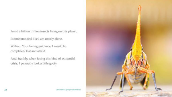 The World Is Great, and I Am Small: A Bug's Prayer for Mindfulness