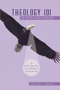 Title: Theology 101 in Bite-Size Pieces: A Bird's Eye View of the Riches of Divine Grace, Author: Judy Azar LeBlanc