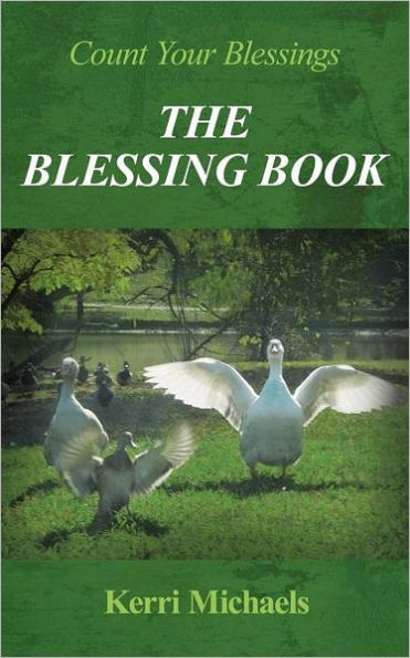 The Blessing Book: Count Your Blessings by Kerri Michaels, Paperback ...