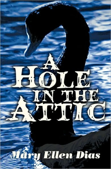 A Hole In the Attic