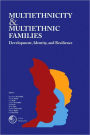 Multiethnicity And Multiethnic Families: Development, Identity, And Resilience
