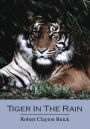 Tiger In The Rain