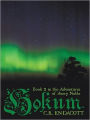 Hokum: Book 2 in the Adventures of Avery Noble