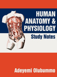 Title: Human Anatomy and Physiology: Study Notes, Author: Adeyemi Olubummo