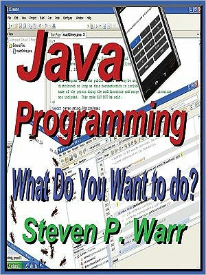 Java Programming: What Do You Want To Do?