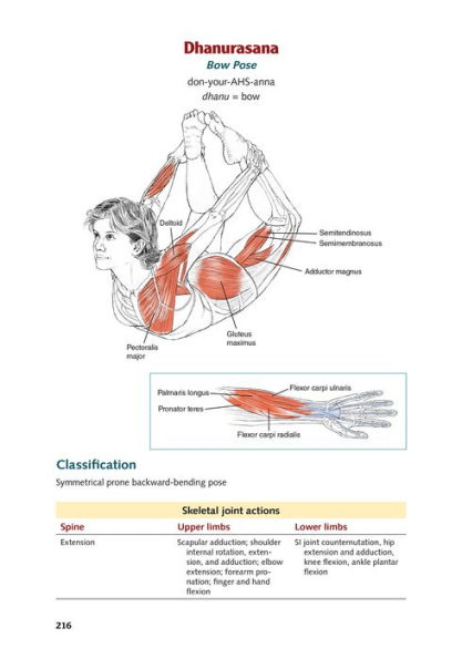 Yoga Anatomy