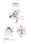 Alternative view 4 of Yoga Anatomy