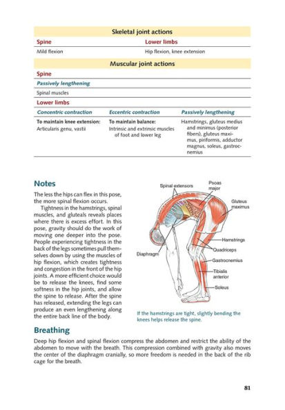 Yoga Anatomy