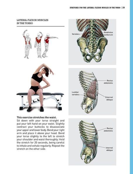 Delavier's Stretching Anatomy