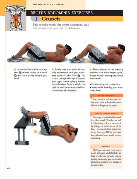 Delavier's Core Training Anatomy