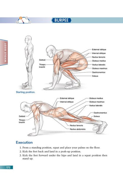 Bodyweight Strength Training Anatomy / Edition 1