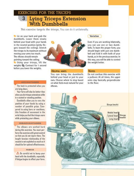 Delavier's Anatomy for Bigger, Stronger Arms