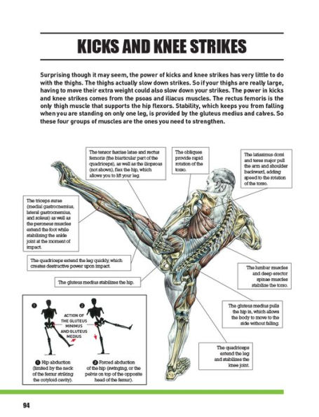 Delavier's Mixed Martial Arts Anatomy