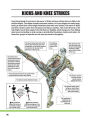 Alternative view 4 of Delavier's Mixed Martial Arts Anatomy