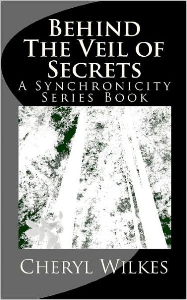 Behind The Veil of Secrets: A Synchronicity Series Book