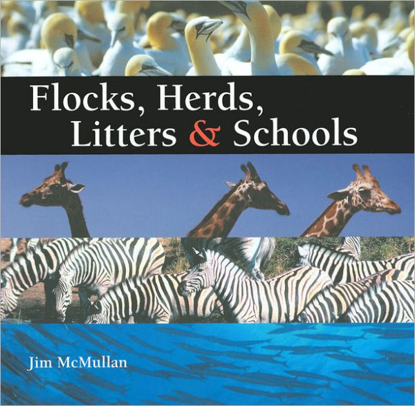 Flocks, Herds, Litters, and Schools