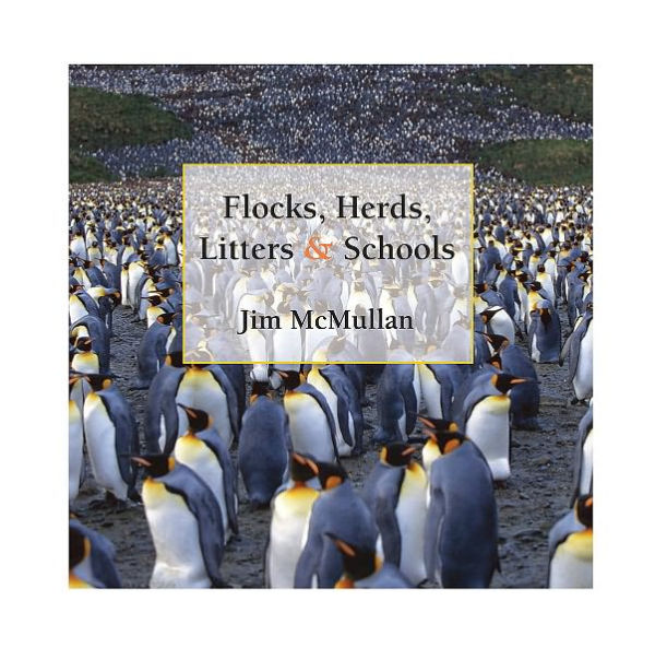 Flocks, Herds, Litters, and Schools