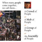 Alternative view 4 of Flocks, Herds, Litters, and Schools