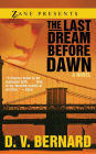 The Last Dream Before Dawn: A Novel