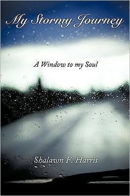 My Stormy Journey: A Window to My Soul