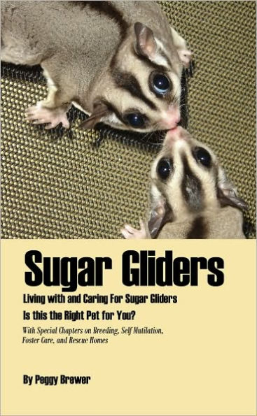 Sugar Gliders: Living with and Caring For Sugar Gliders Is this the Right Pet for You?