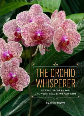 Title: The Orchid Whisperer: Expert Secrets for Growing Beautiful Orchids, Author: Bruce Rogers