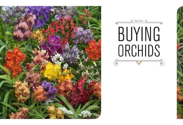 The Orchid Whisperer: Expert Secrets for Growing Beautiful Orchids (Orchid Potting, Orchid Seed Care, Gardening Book)