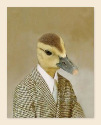 picture day notecards gift for animal lovers funny picture day notecards