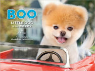 Title: Boo: Little Dog in the Big City, Author: J.H. Lee