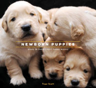 Title: Newborn Puppies: Dogs in Their First Three Weeks, Author: Traer Scott