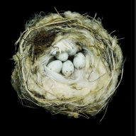 Title: Nests: Fifty Nests and the Birds that Built Them, Author: Sharon Beals