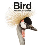 Title: Bird, Author: Andrew Zuckerman