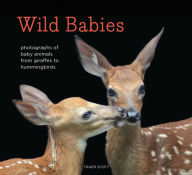 Title: Wild Babies: Photographs of Baby Animals from Giraffes to Hummingbirds, Author: Traer Scott