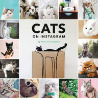 Title: Cats on Instagram, Author: @cats_of_instagram