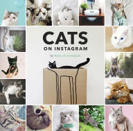 Title: Cats on Instagram, Author: @cats_of_instagram