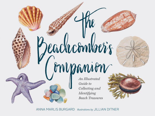 The Beachcombers Companion An Illustrated Guide To Collecting And Identifying Beach Treasureshardcover - 