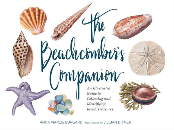 The Beachcomber's Companion: An Illustrated Guide to Collecting and Identifying Beach Treasures