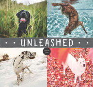 Title: Unleashed, Author: Amanda Jones