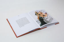 Alternative view 11 of Juniper: The Happiest Fox: (Books about Animals, Fox Gifts, Animal Picture Books, Gift Ideas for Friends)