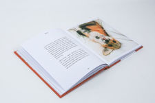 Alternative view 12 of Juniper: The Happiest Fox: (Books about Animals, Fox Gifts, Animal Picture Books, Gift Ideas for Friends)