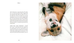 Alternative view 4 of Juniper: The Happiest Fox: (Books about Animals, Fox Gifts, Animal Picture Books, Gift Ideas for Friends)