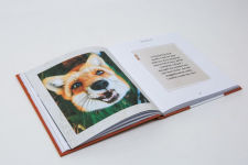 Alternative view 6 of Juniper: The Happiest Fox: (Books about Animals, Fox Gifts, Animal Picture Books, Gift Ideas for Friends)