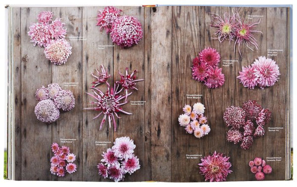Floret Farm's A Year in Flowers: Designing Gorgeous Arrangements for Every  Season (Floret Farms x Chronicle Books)