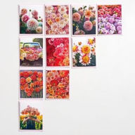 Title: Floret Farm's Cut Flower Garden: Dahlia Notes: 20 Notecards & Envelopes (Notes for Women, Gifts for Floral Designers, Floral Thank You Cards)