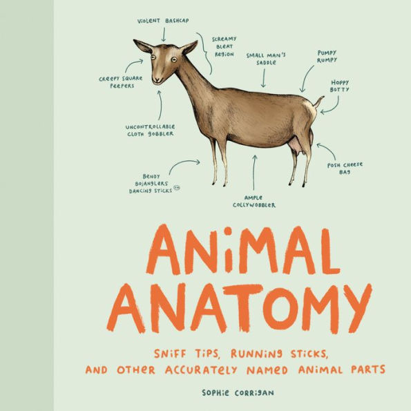 Animal Anatomy: Sniff Tips, Running Sticks, and Other Accurately Named Parts