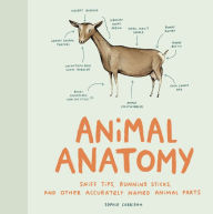 Title: Animal Anatomy: Sniff Tips, Running Sticks, and Other Accurately Named Animal Parts, Author: Sophie Corrigan