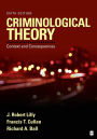 Criminological Theory: Context and Consequences / Edition 6