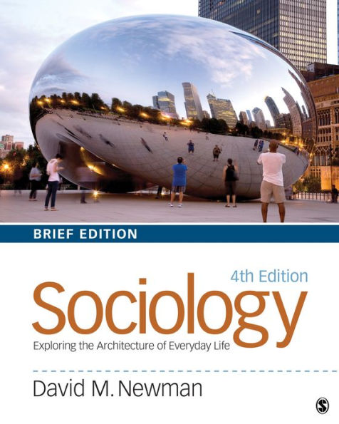 Sociology: Exploring the Architecture of Everyday Life, Brief Edition / Edition 4