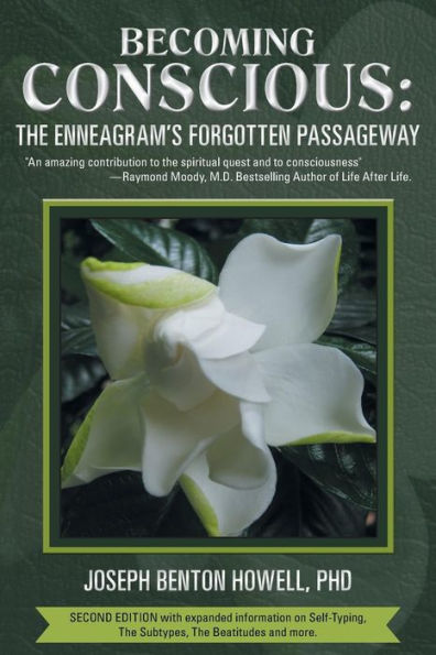 Becoming Conscious: The Enneagram's Forgotten Passageway